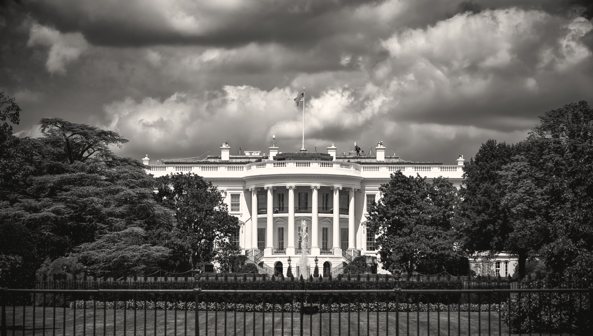 Market Insights January 19, 2026