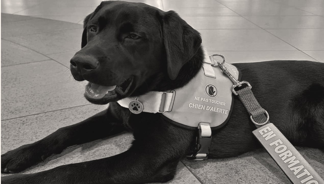 One year of complicity between Taïga and José-Carlos Torrecillas